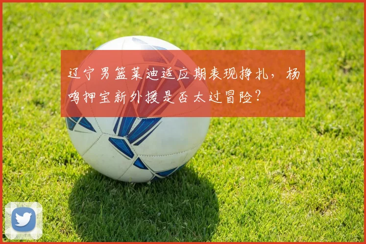 辽宁男篮莱迪适应期表现挣扎，杨鸣押宝新外援是否太过冒险？